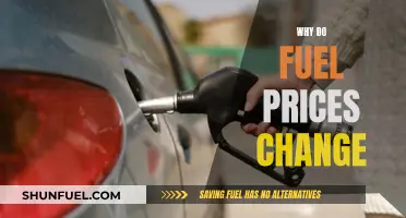 Fuel Price Fluctuations: Understanding the Dynamic Market Forces