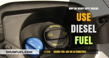 Trucking Industry's Preference for Diesel Fuel Explained