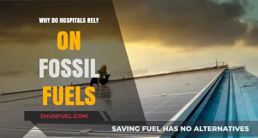 Hospitals' Fossil Fuel Dependence: Uncovering the Critical Energy Dilemma