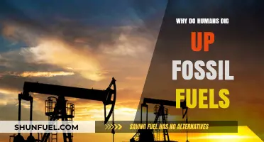 Why Humans Unearth Fossil Fuels: Energy, History, and Consequences