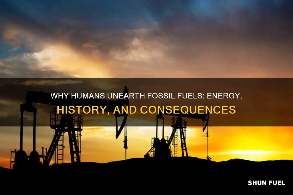why do humans dig up fossil fuels