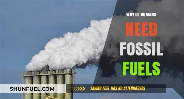 Why Fossil Fuels Remain Essential for Human Energy Needs