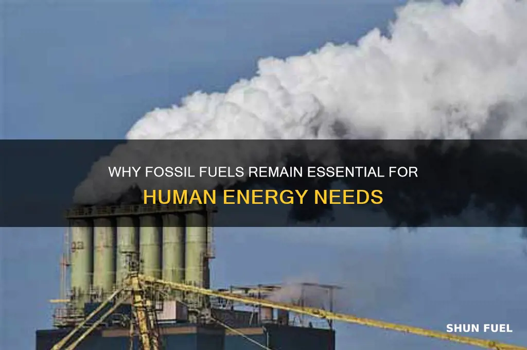 why do humans need fossil fuels