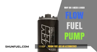 Upgrade Your Engine: The Importance of a High Flow Fuel Pump