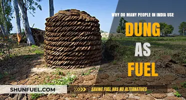 India's Dung Fuel: A Sustainable Tradition Explained