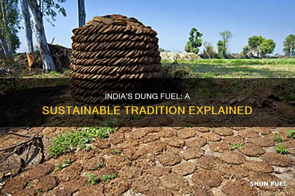 why do many people in india use dung as fuel