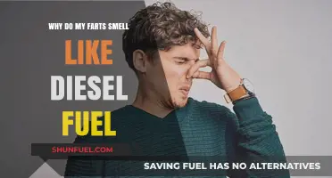 Farts That Smell Like Diesel: What Does It Mean?