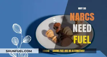Understanding the Narcissist's Fuel: A Guide to Their Energy Sources