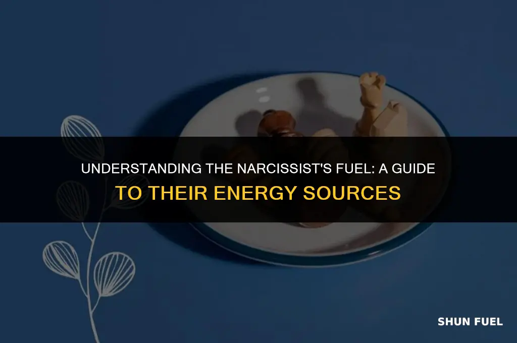 why do narcs need fuel