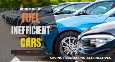 Fuel Guzzlers: Why People Buy Inefficient Cars?