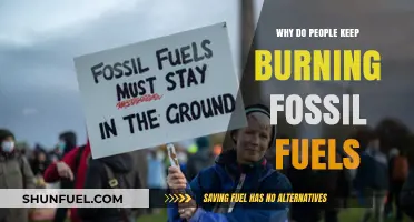 The Stubborn Reliance on Fossil Fuels: Unraveling the Persistent Addiction
