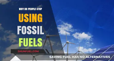 Transitioning Beyond Fossil Fuels: Reasons People Embrace Cleaner Energy Alternatives