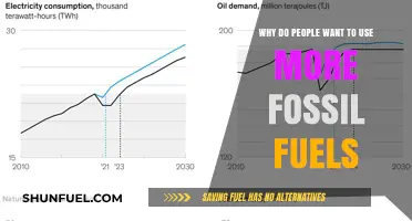 The Persistent Demand for Fossil Fuels: Understanding the Reasons Behind It