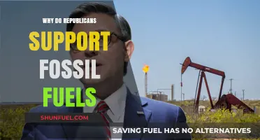 Why Republicans Champion Fossil Fuels: Politics, Economics, and Energy Independence