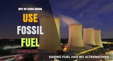 Saudi Arabia's Fossil Fuel Reliance: Economic, Historical, and Geopolitical Factors