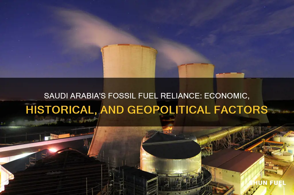 why do saudi arabia use fossil fuel