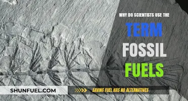 Fossil Fuels: Unraveling the Scientific Origins of the Term