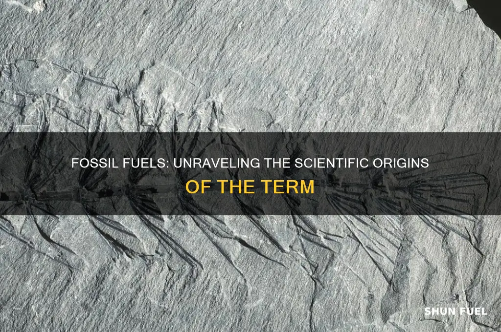 why do scientists use the term fossil fuels