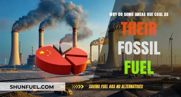 Why Coal Remains a Dominant Fossil Fuel in Certain Regions