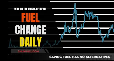 Understanding the Dynamic Pricing of Diesel Fuel