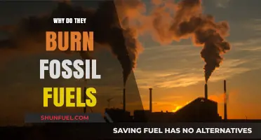 Why Do We Still Burn Fossil Fuels? Exploring the Reasons