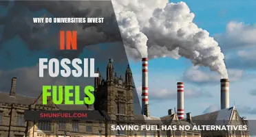 Why Universities Still Invest in Fossil Fuels: Uncovering the Reasons