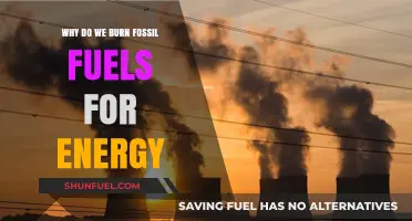 Why Fossil Fuels Dominate: The Energy Source We Can't Quit