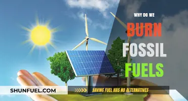 Burning Fossil Fuels: Energy, Emissions, and Our Future