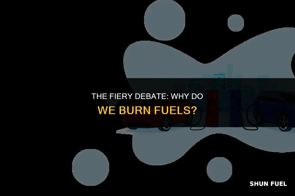 why do we burn fuels