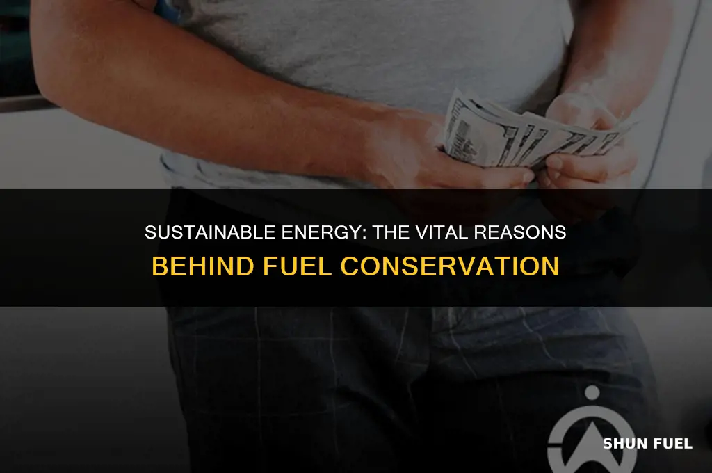 why do we conserve fuel