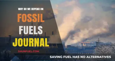 Why Do We Depend on Fossil Fuels? A Journal Analysis