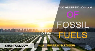The Fossil Fuel Conundrum: Why Are We Still Hooked?