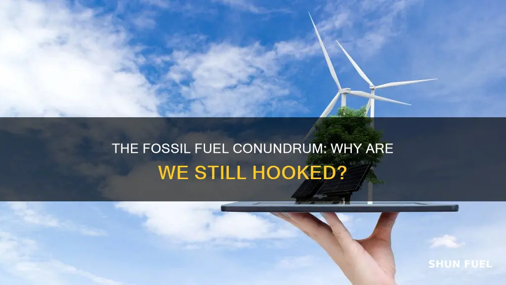 why do we depend so much of fossil fuels