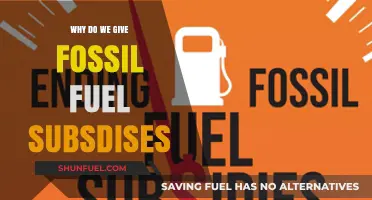 Why Do We Still Subsidize Fossil Fuels in the Climate Crisis?