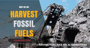 Why Do We Harvest Fossil Fuels: Exploring Our Energy Dependence