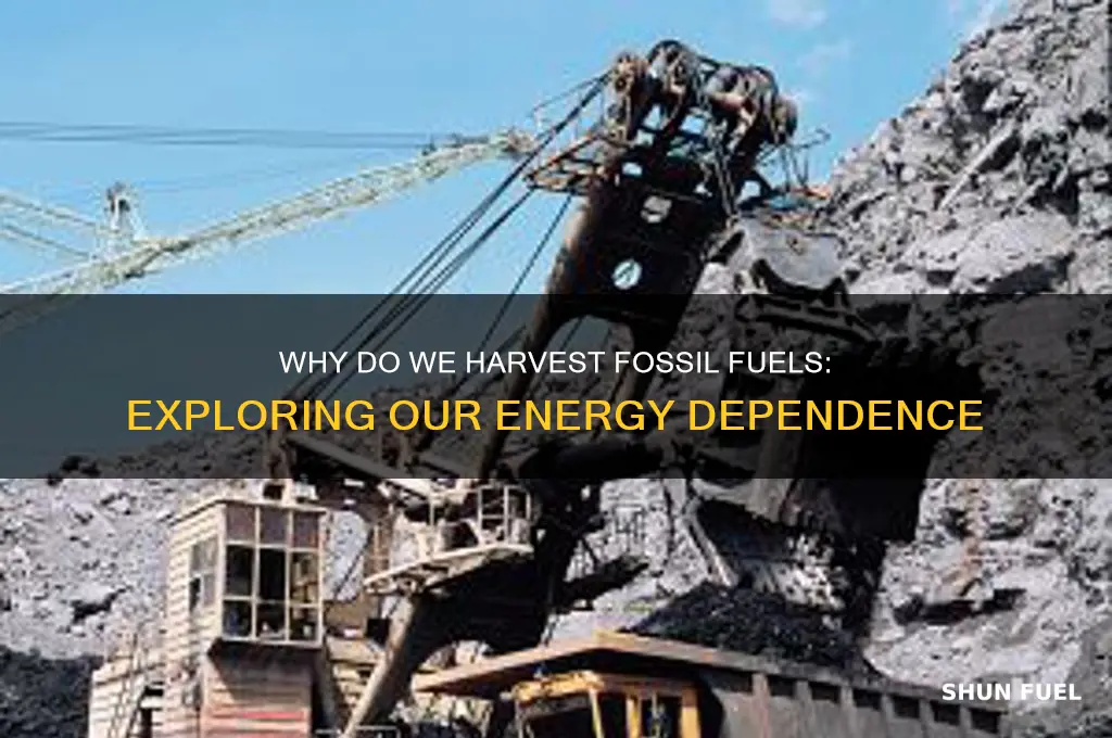 why do we harvest fossil fuels