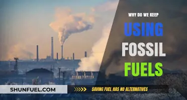 Why Fossil Fuels Persist: Unraveling Our Dependence on Dirty Energy