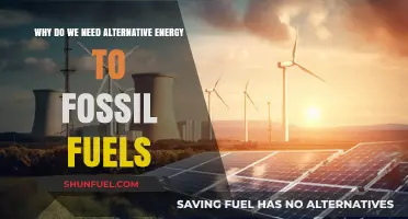 Sustainable Future: Why Alternative Energy Replaces Fossil Fuels