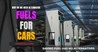 The Future of Driving: Why Alternative Fuels are Essential