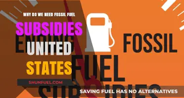 Why the U.S. Still Relies on Fossil Fuel Subsidies