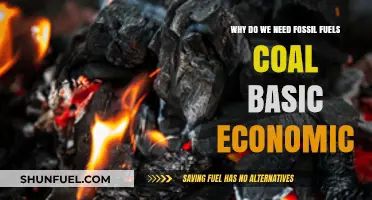 Why Fossil Fuels and Coal Remain Essential for Basic Economic Stability