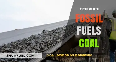 Why Fossil Fuels Like Coal Remain Essential for Global Energy Needs