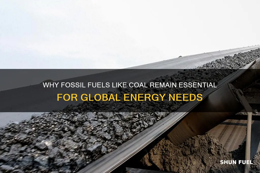 why do we need fossil fuels coal