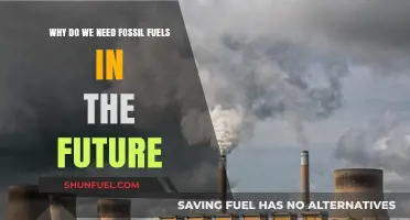 Fossil Fuels' Future Role: Balancing Energy Needs and Sustainability