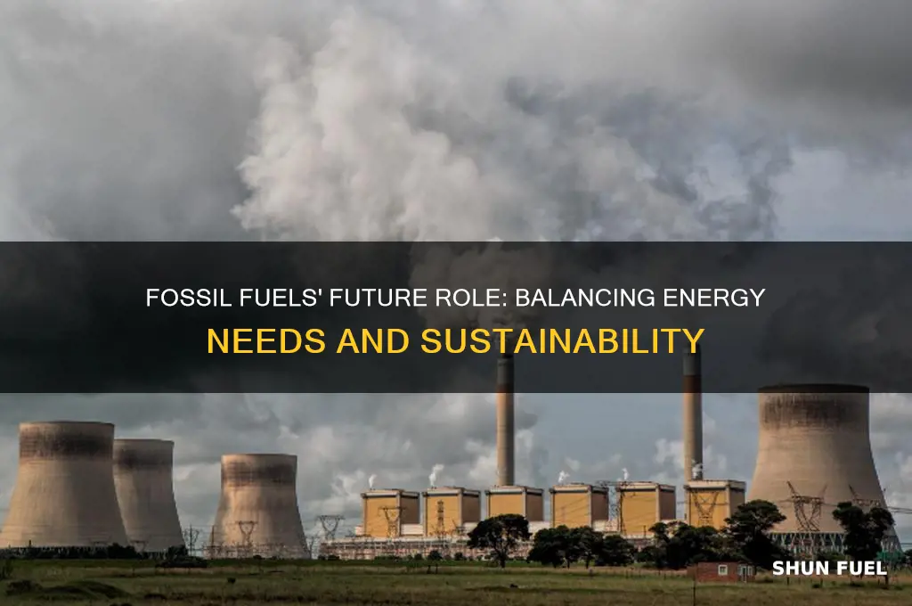 why do we need fossil fuels in the future