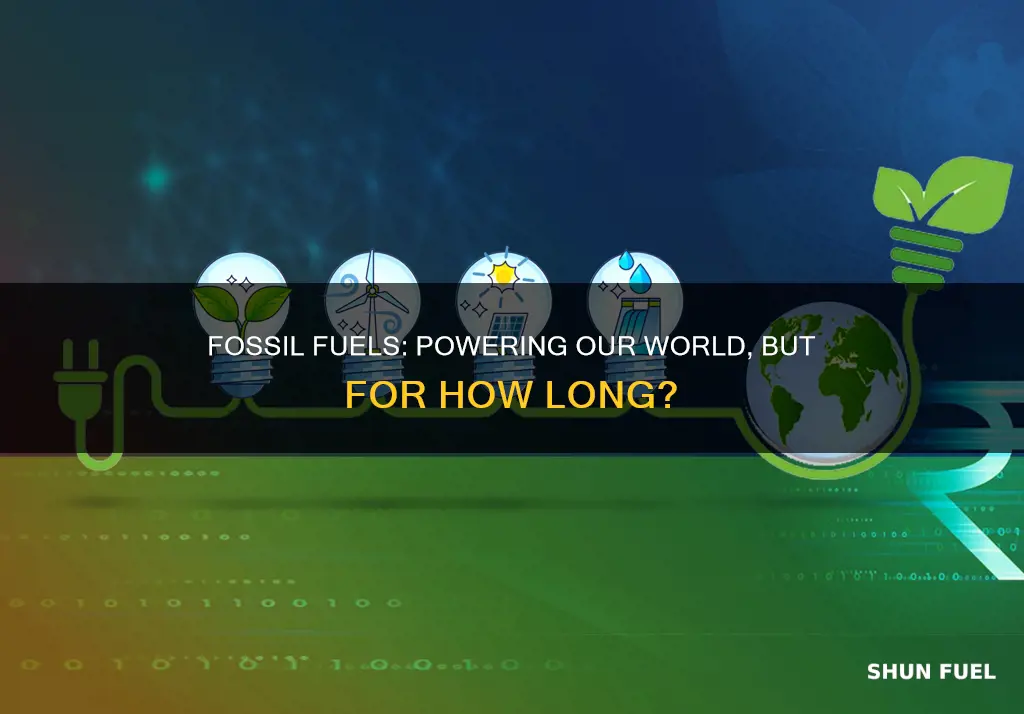 why do we need fossil fuels