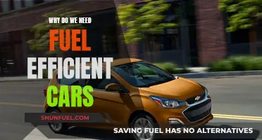 Fuel-Efficient Cars: Saving Money, Saving the Planet