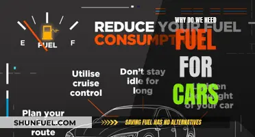 The Essential Role of Fuel in Car Functionality