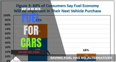 The Importance of Fuel for Cars: Powering the Journey