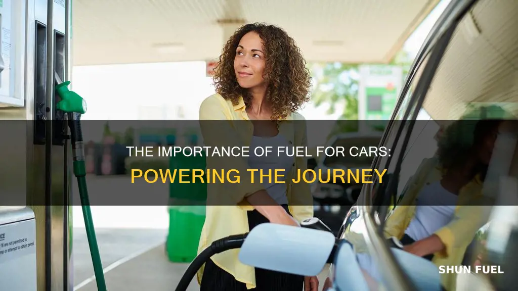 why do we need fuel for cars